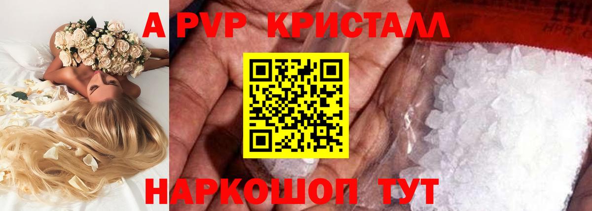 A PVP СК КРИС Новотроицк