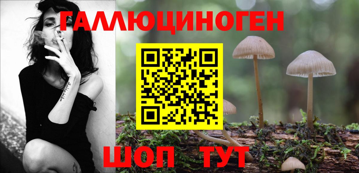 Новотроицк  Галлюциногенные грибы Cubensis  Вход с VPN 
